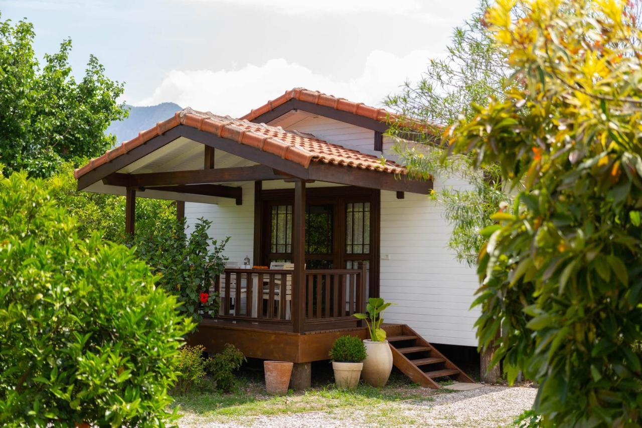 Kimera - Akdeniz Bahcesi Apart Hotel Çıralı Zewnętrze zdjęcie