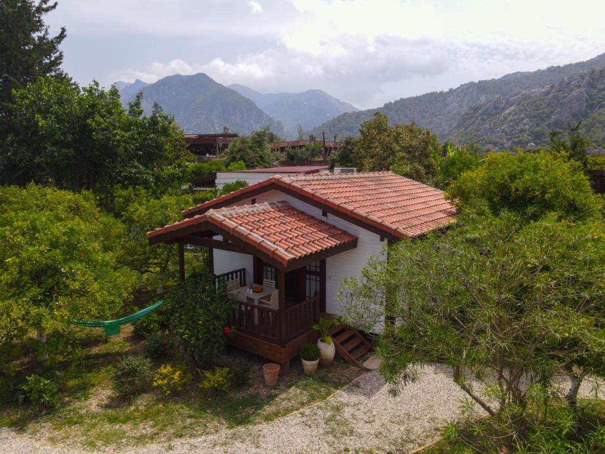 Kimera - Akdeniz Bahcesi Apart Hotel Çıralı Zewnętrze zdjęcie