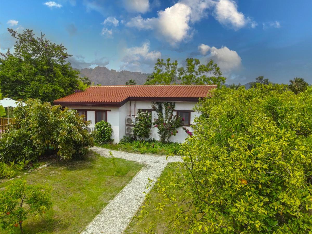 Kimera - Akdeniz Bahcesi Apart Hotel Çıralı Zewnętrze zdjęcie