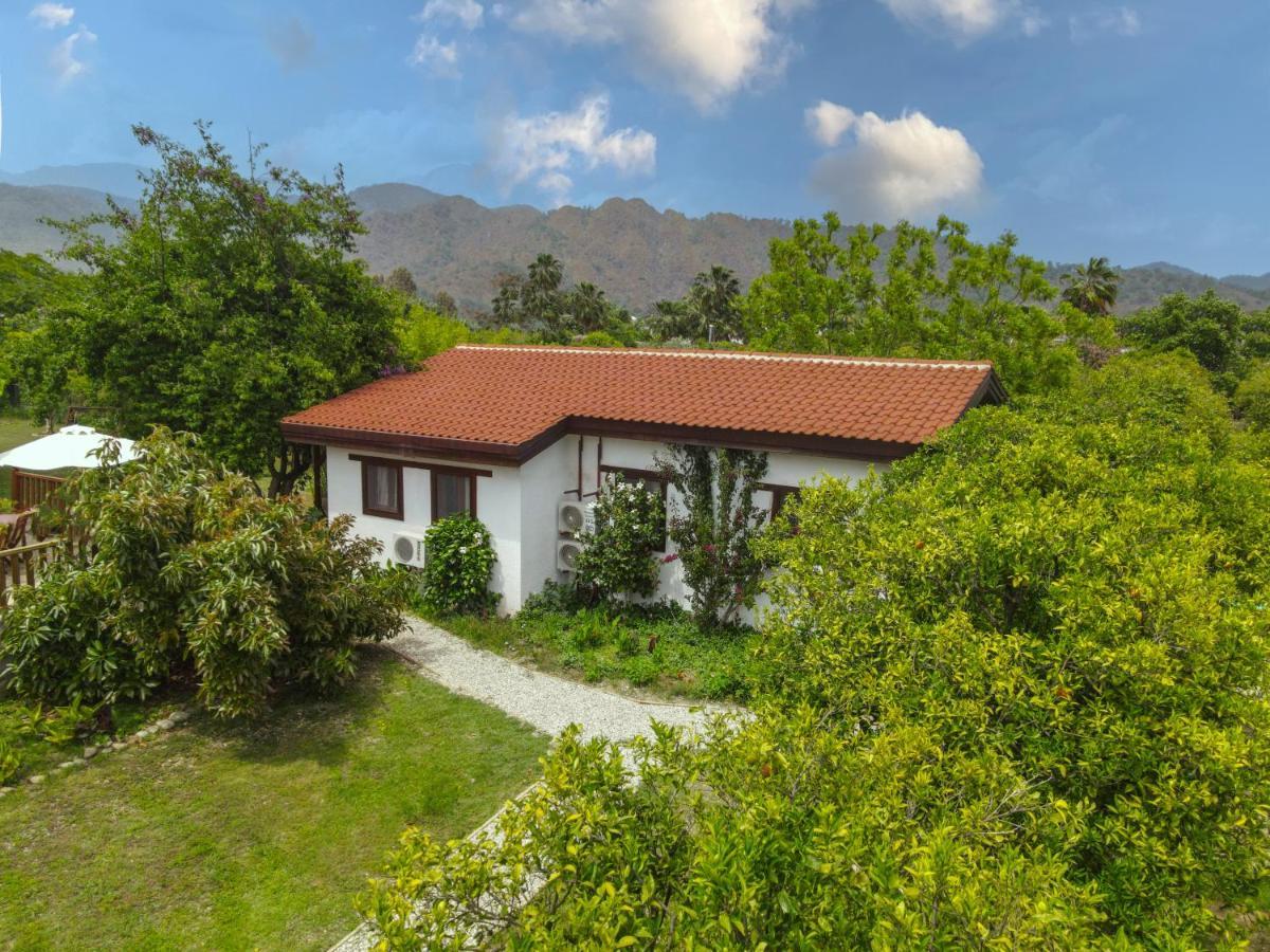 Kimera - Akdeniz Bahcesi Apart Hotel Çıralı Zewnętrze zdjęcie