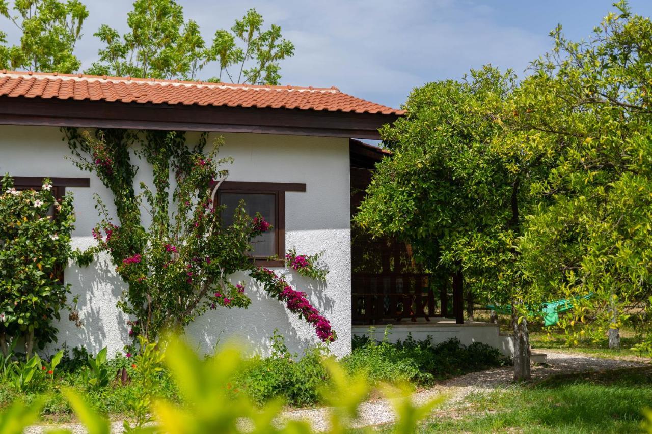 Kimera - Akdeniz Bahcesi Apart Hotel Çıralı Zewnętrze zdjęcie